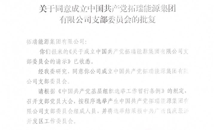 沙龙会官网能源集团党支部正式成立！